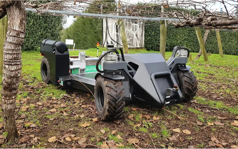 Multi-purpose platform in kiwifruit orchard